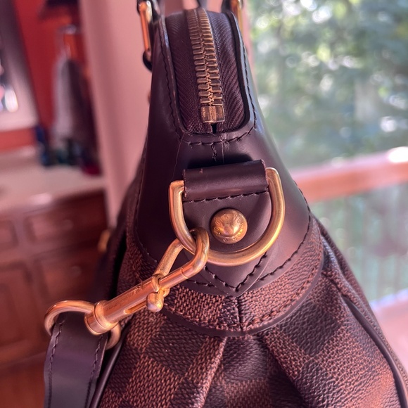 Louis Vuitton Damier Ebene Trevi PM - Picture 8 of 11